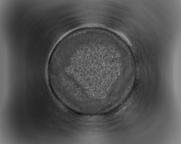 X0000094820895200712071243