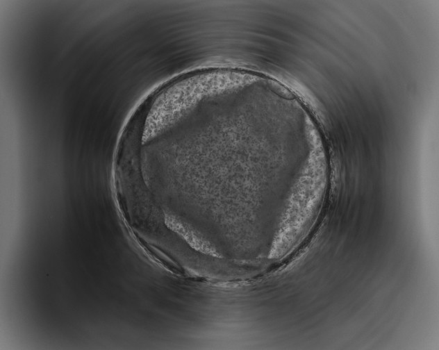 X0000094820896200712071243