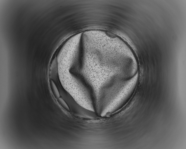 X0000094820898200712071243