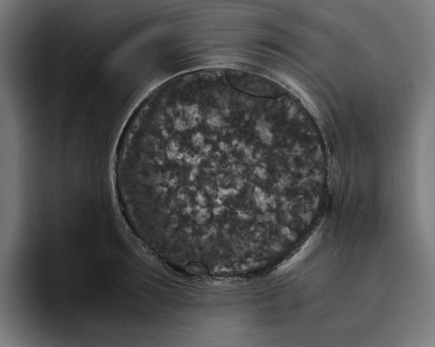 X0000094820899200712071243