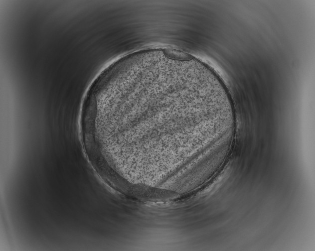 X0000094820902200712071243