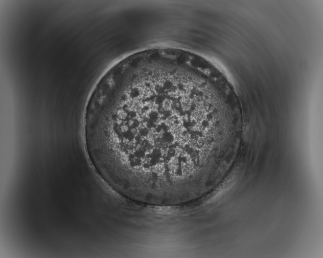 X0000094820903200712071243