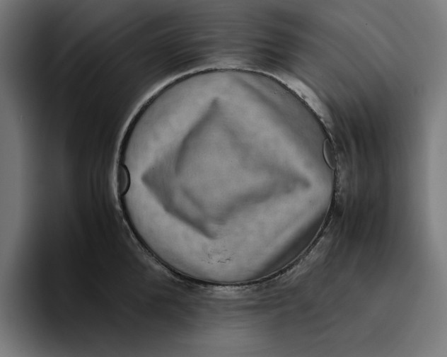 X0000094820904200712071243