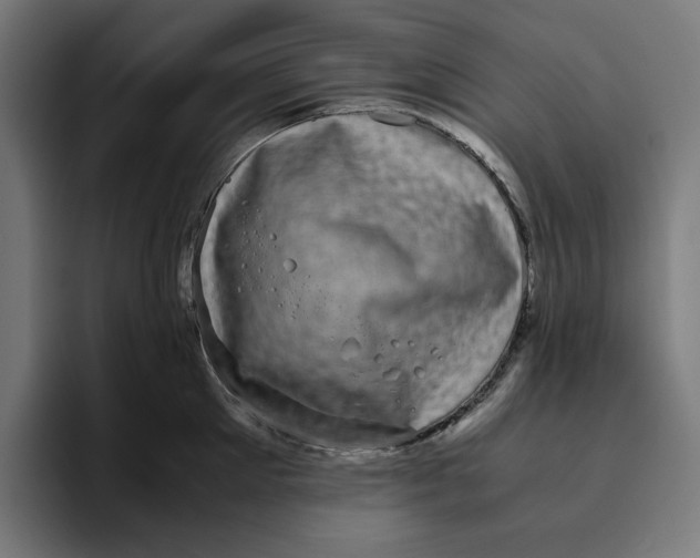 X0000094820905200712071243