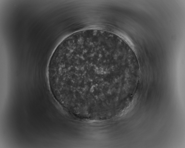 X0000094820907200712071243