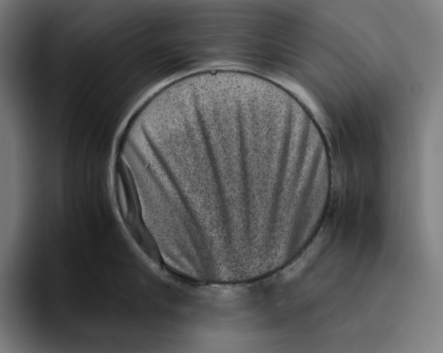 X0000094820910200712071243