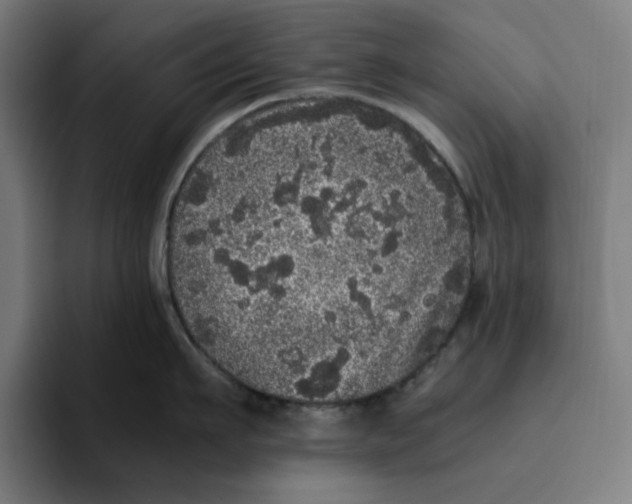 X0000094820911200712071243