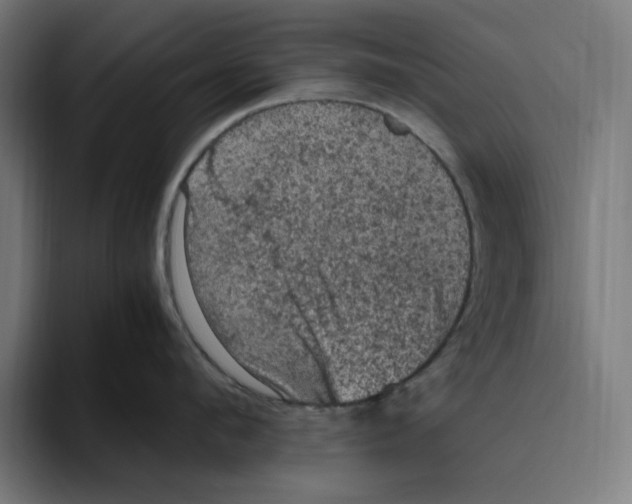 X0000094820912200712071243