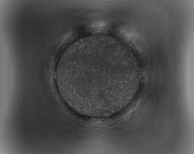 X0000094820913200712071242