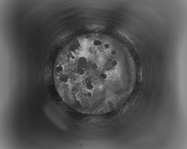 X0000094820917200712071243