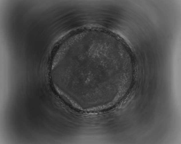 X0000094820919200712071243