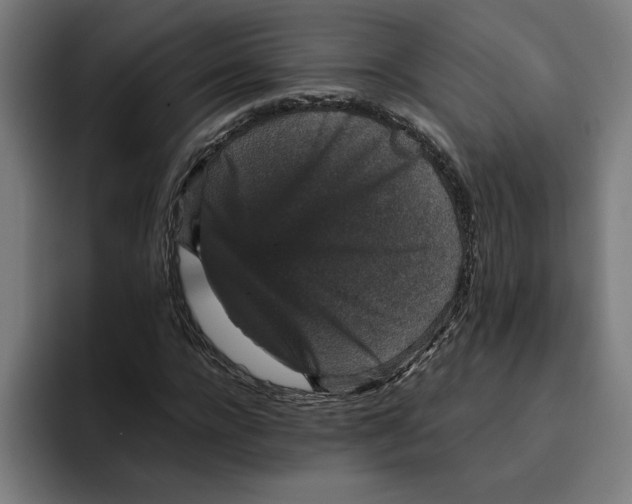 X0000094820920200712071243