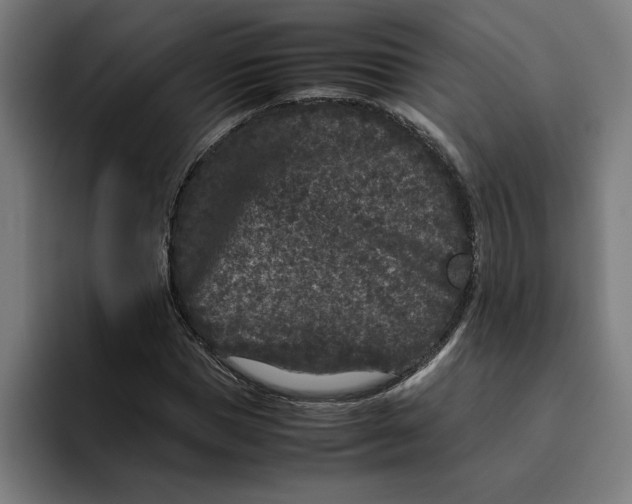 X0000094820921200712071243