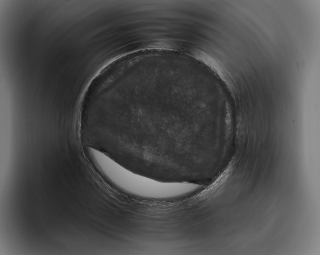 X0000094820923200712071243