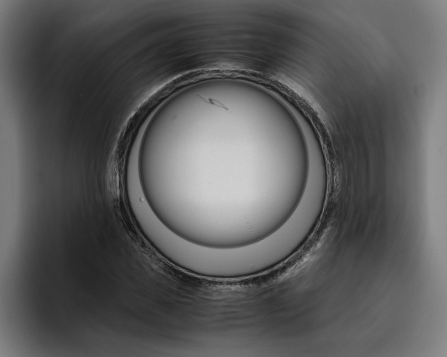 X0000094820925200712071243