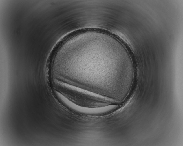 X0000094820926200712071243