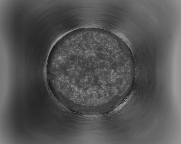 X0000094820928200712071243