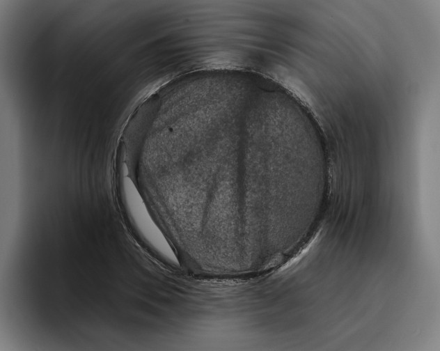 X0000094820930200712071243