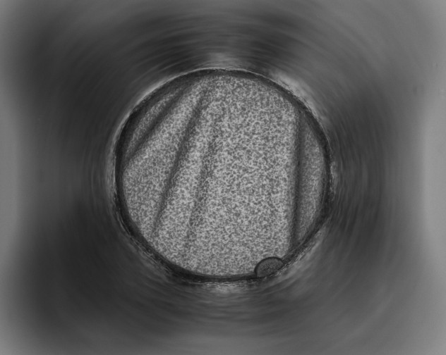 X0000094820931200712071243