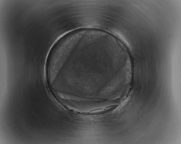 X0000094820932200712071243