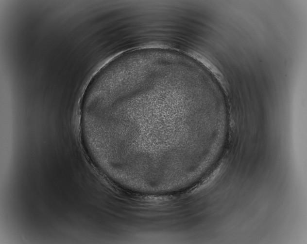 X0000094820933200712071243