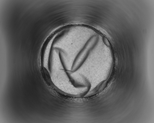 X0000094820934200712071243