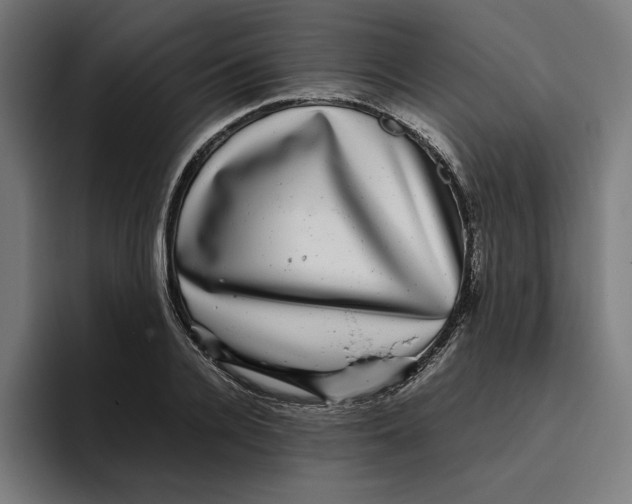 X0000094820936200712071243