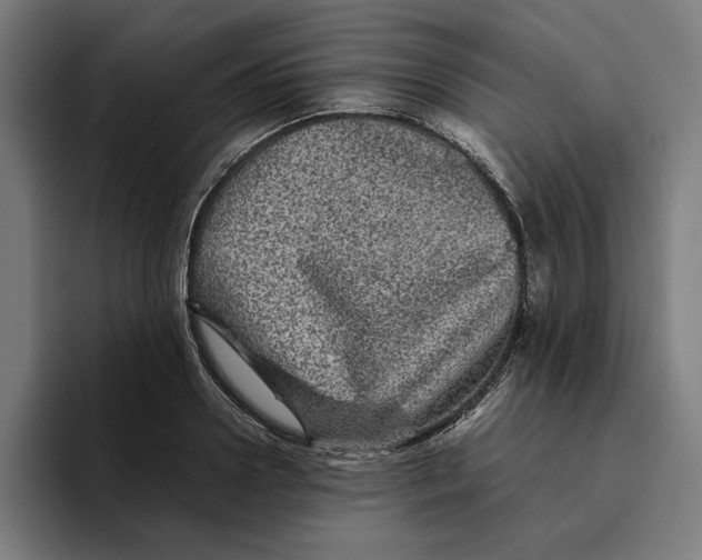 X0000094820938200712071243