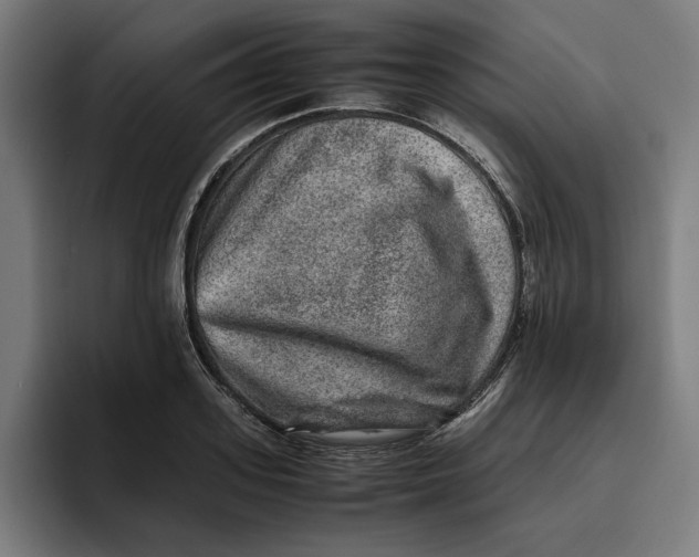 X0000094820939200712071243