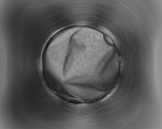 X0000094820940200712071243