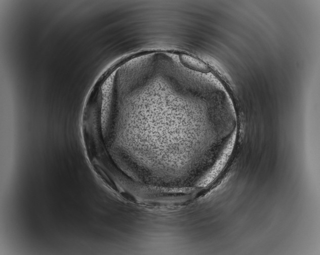 X0000094820942200712071243