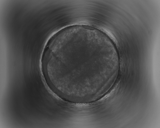 X0000094820944200712071243