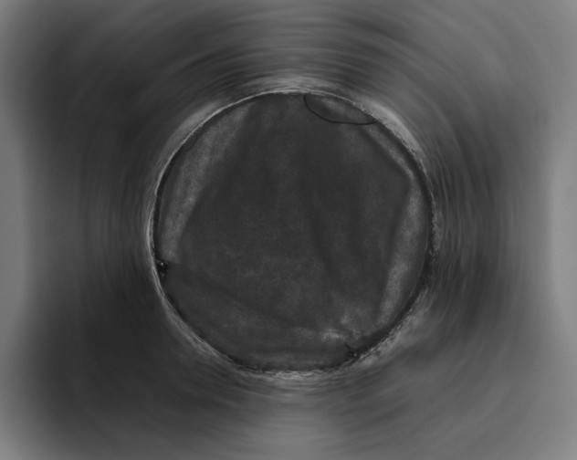 X0000094820946200712071243