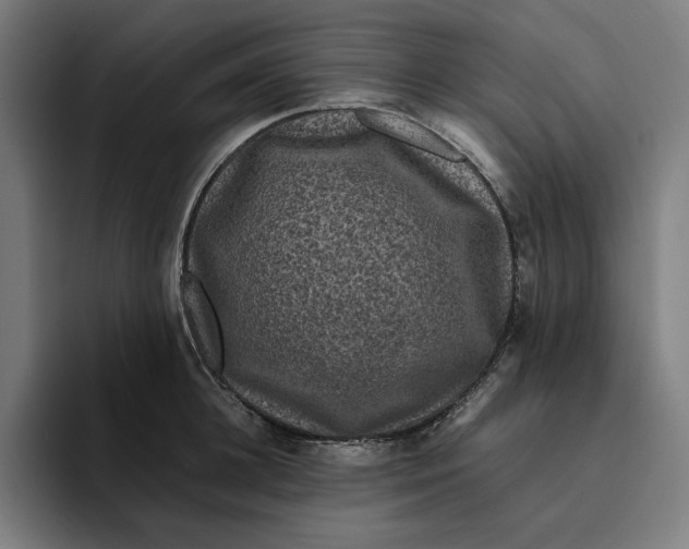 X0000094820948200712071243