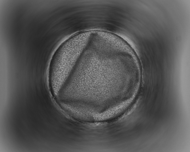 X0000094820949200712071243