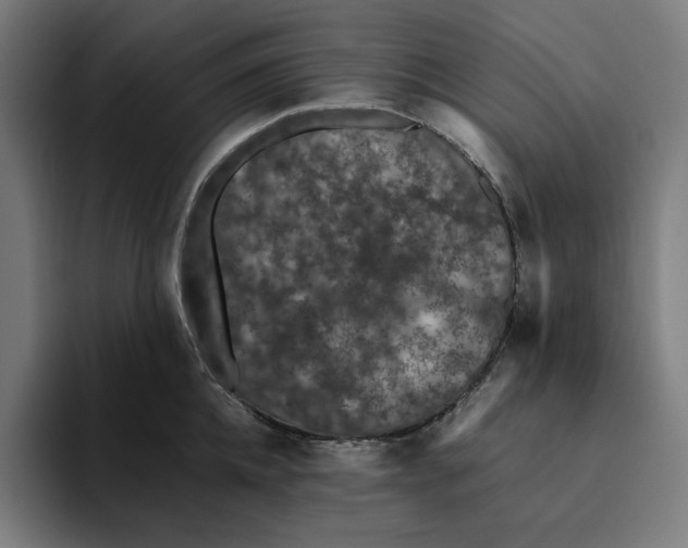 X0000094820952200712071243