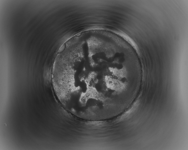 X0000094820953200712071243