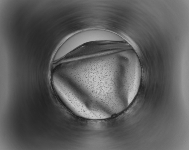 X0000094820956200712071243