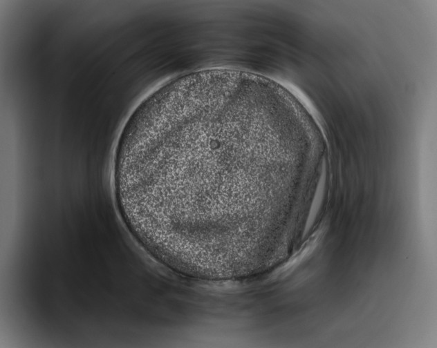 X0000094820957200712071243