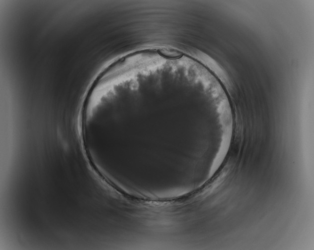 X0000094820958200712071243