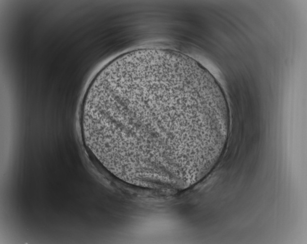 X0000094820960200712071243