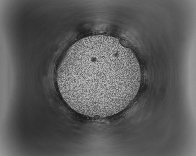 X0000094820961200712071242