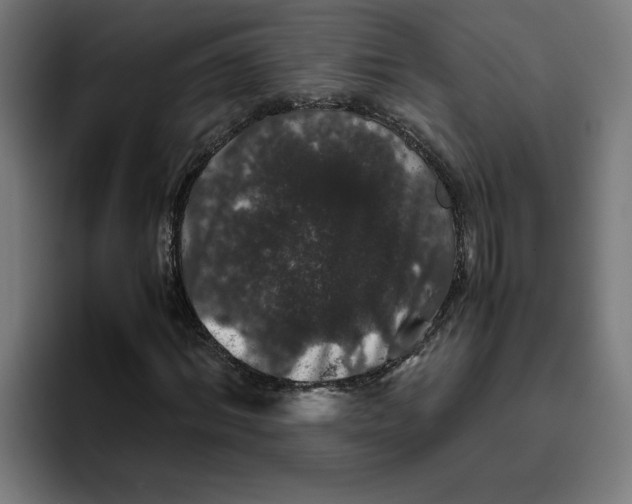 X0000094820964200712071242