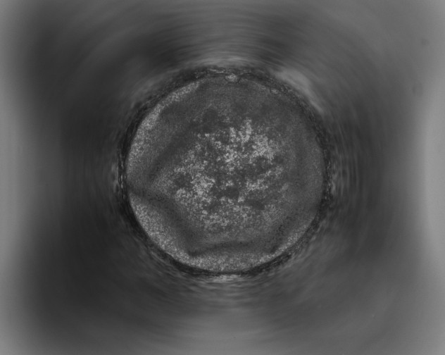 X0000094820966200712071242