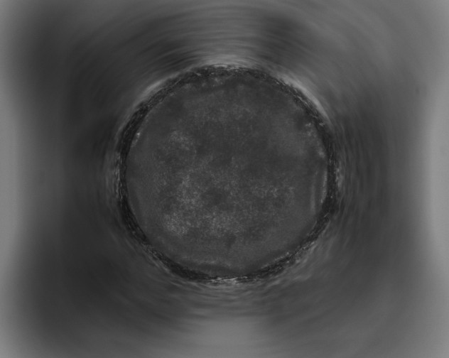 X0000094820968200712071242