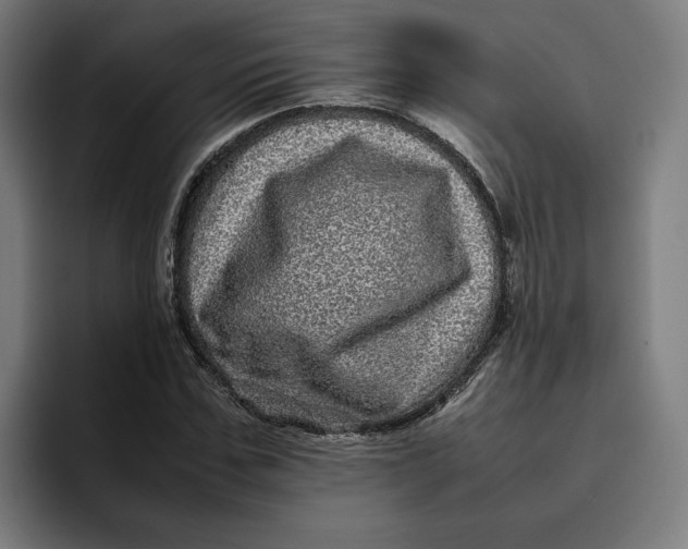 X0000094820971200712071242