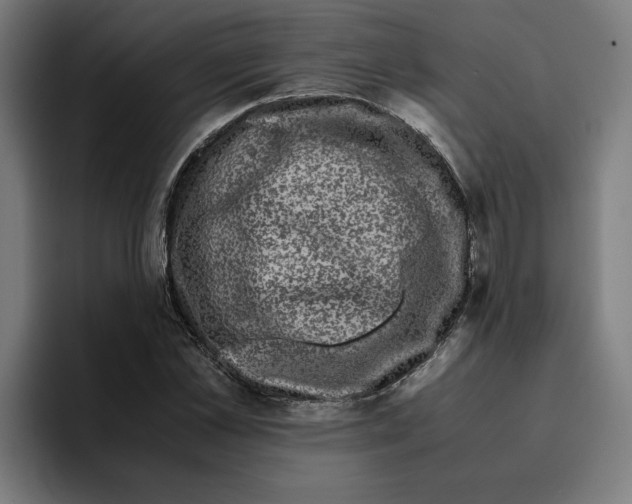 X0000094820973200712071242