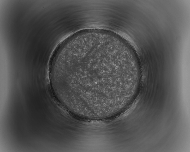 X0000094820974200712071242