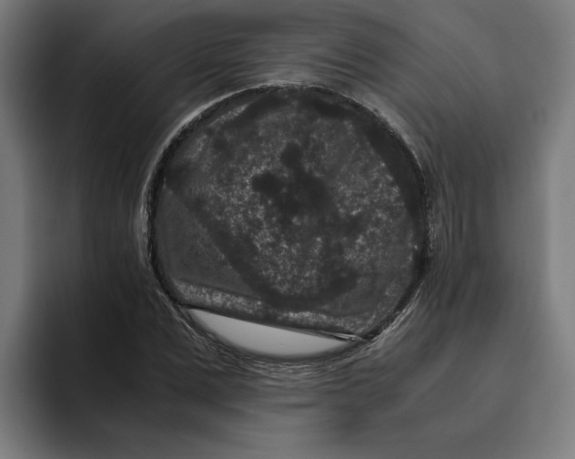 X0000094820975200712071242