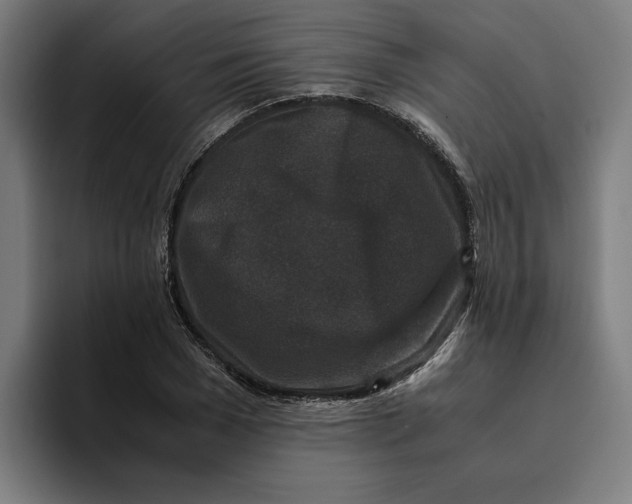 X0000094820977200712071242